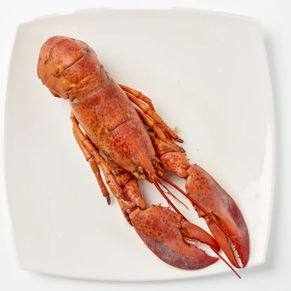 Bandeja de mariscos al estilo DUBAÍ